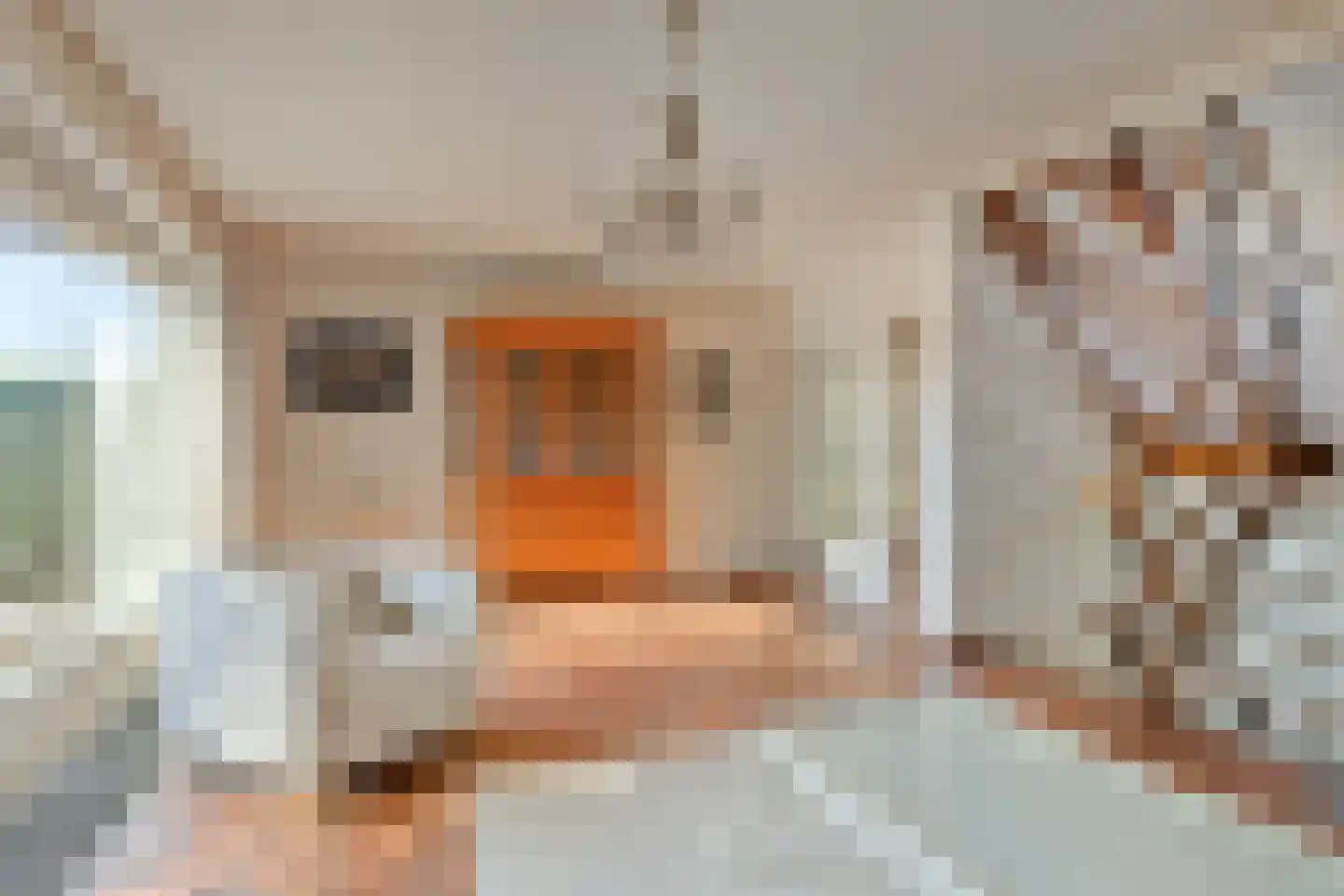 Zeggelaan 9 Terheijden thumbnail 9