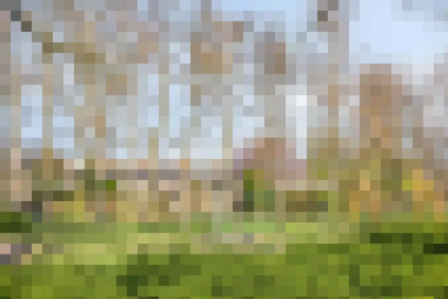 Zeggelaan 99 Terheijden thumbnail 26
