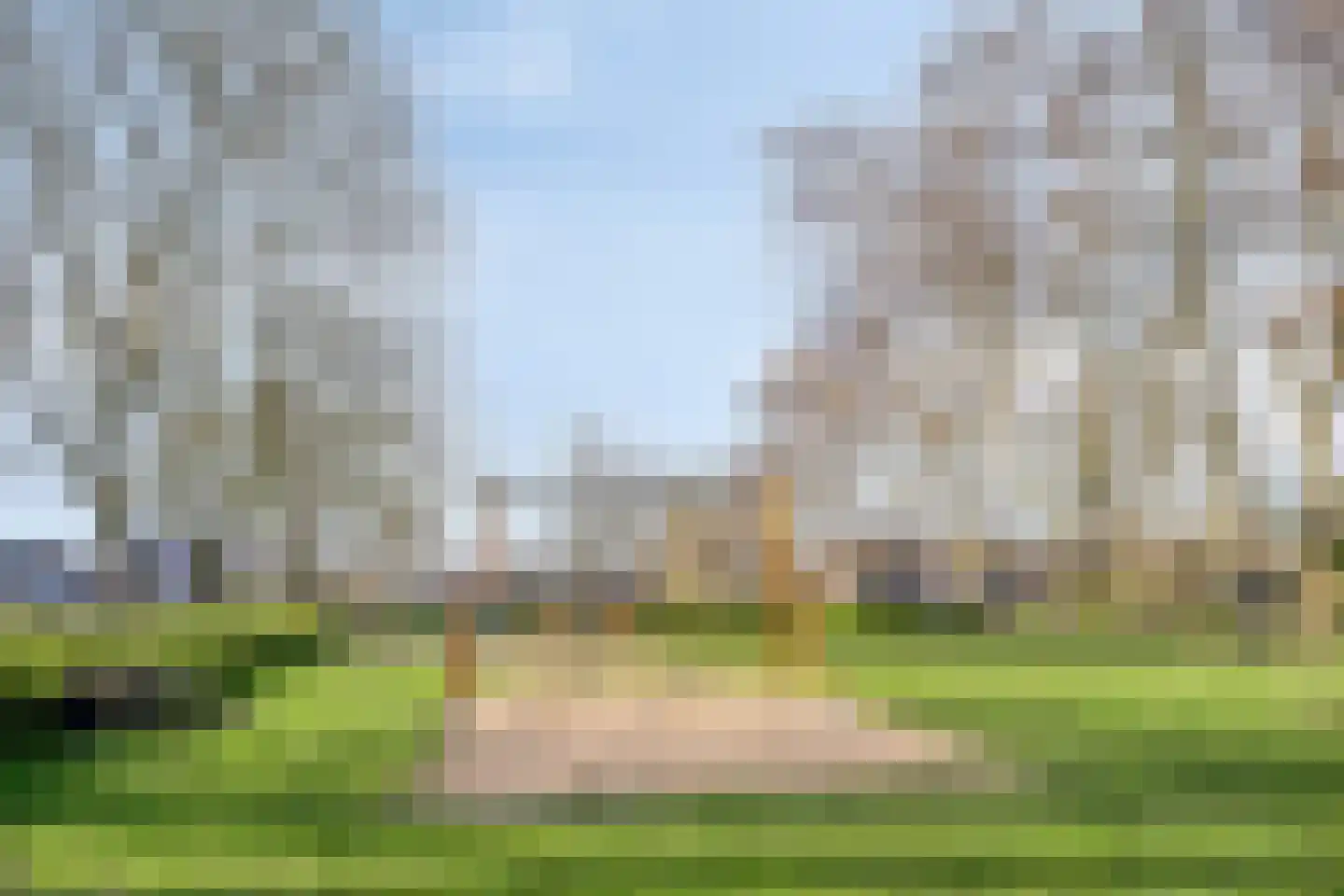 Zeggelaan 99 Terheijden thumbnail 28