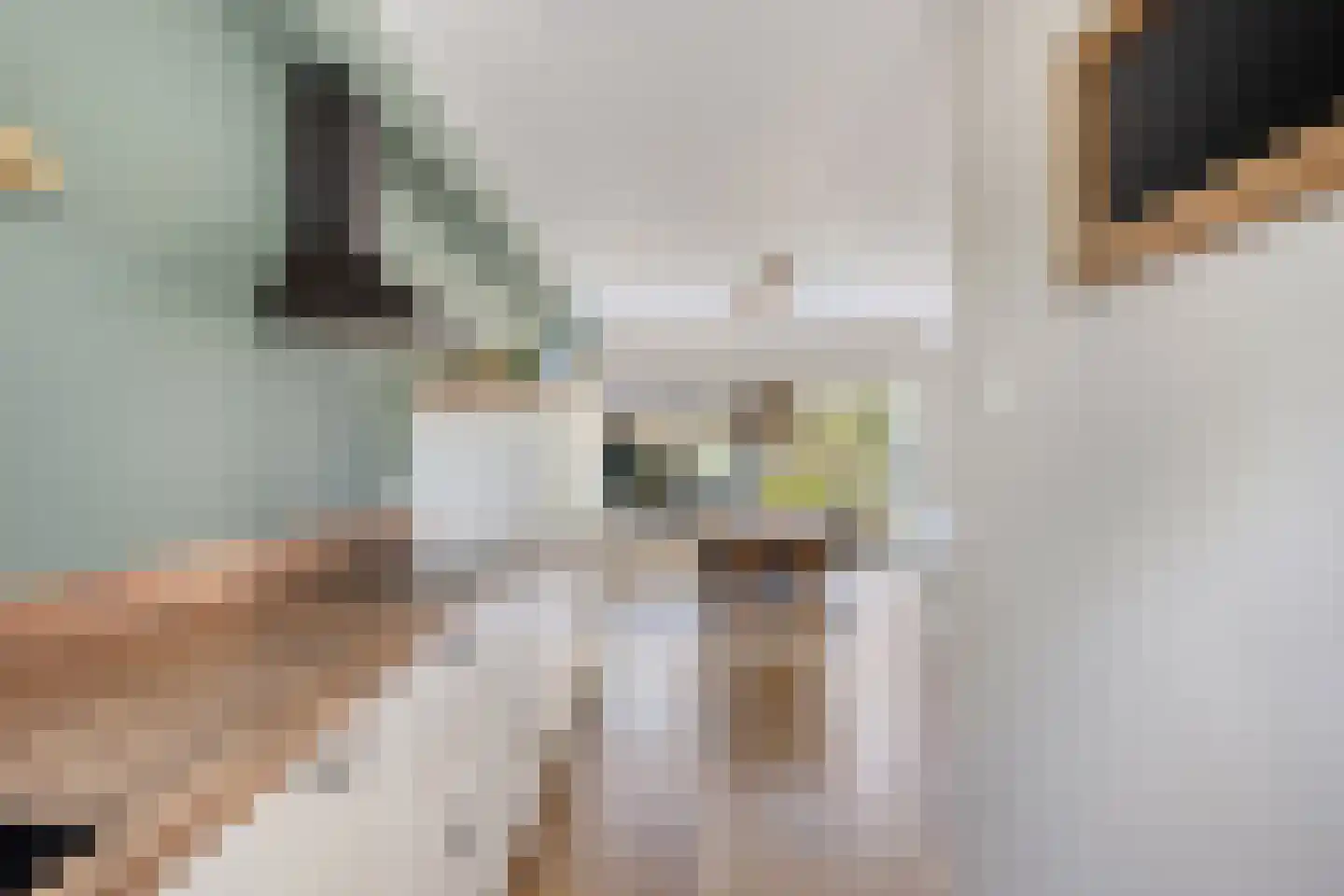 Zeggelaan 99 Terheijden thumbnail 8