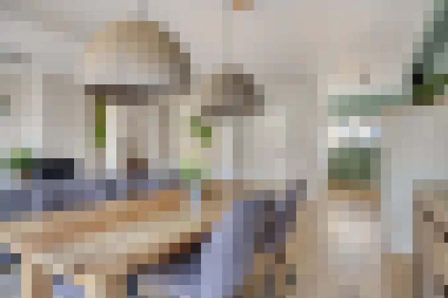 Zeggelaan 99 Terheijden thumbnail 9