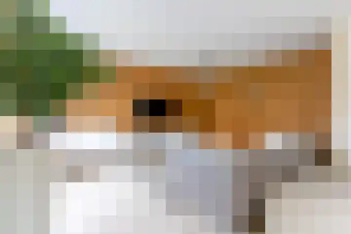 Zeggemeen 105 Harderwijk thumbnail 10
