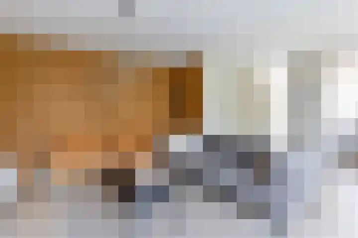 Zeggemeen 105 Harderwijk thumbnail 11