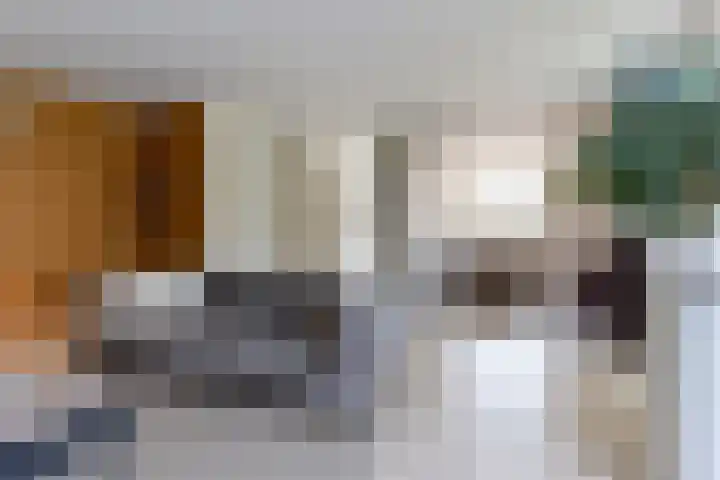 Zeggemeen 105 Harderwijk thumbnail 12