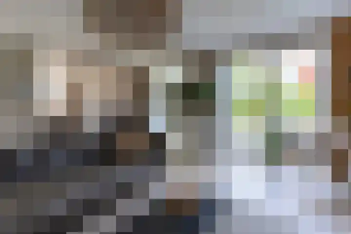 Zeggemeen 105 Harderwijk thumbnail 16