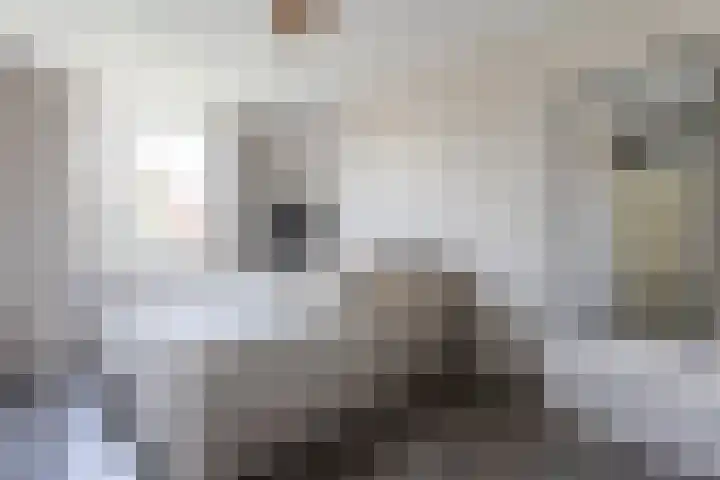 Zeggemeen 105 Harderwijk thumbnail 25