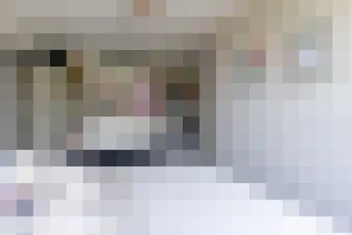Zeggemeen 105 Harderwijk thumbnail 26