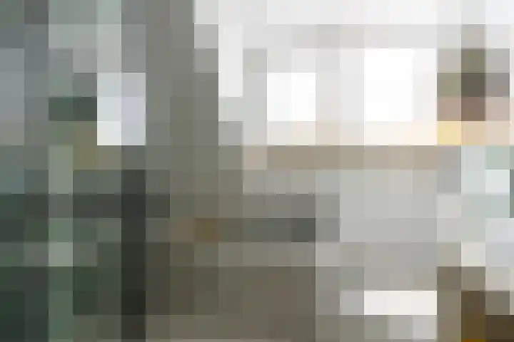 Zeggemeen 105 Harderwijk thumbnail 30