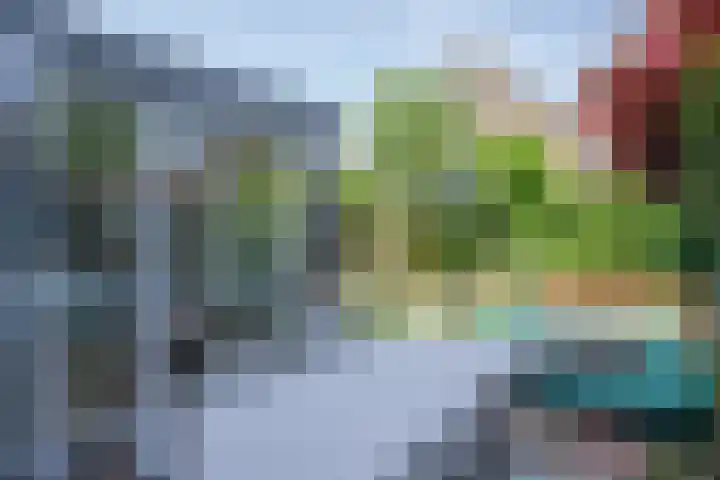 Zeggemeen 105 Harderwijk thumbnail 36