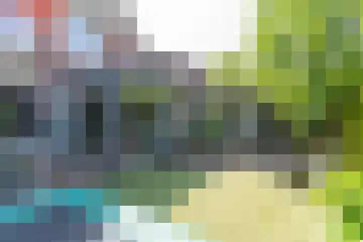 Zeggemeen 105 Harderwijk thumbnail 37