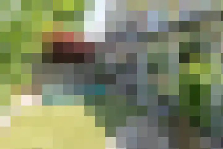 Zeggemeen 105 Harderwijk thumbnail 38