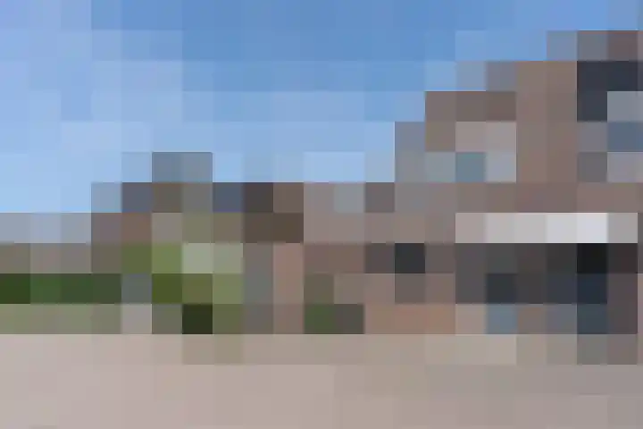 Zeggemeen 105 Harderwijk thumbnail 4