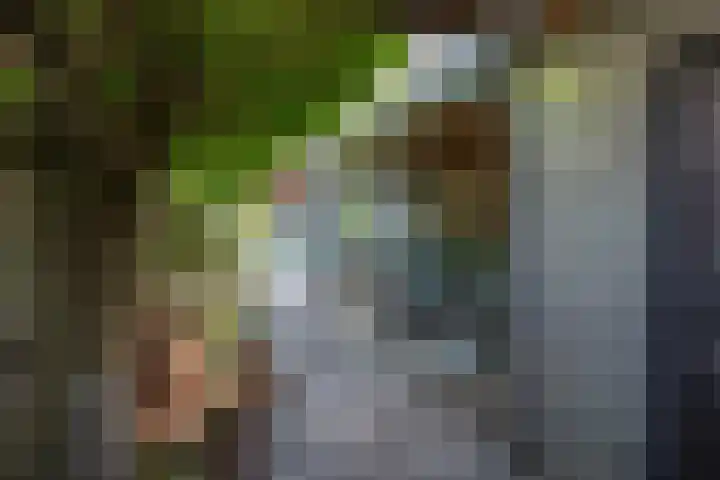 Zeggemeen 105 Harderwijk thumbnail 41
