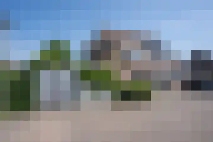 Zeggemeen 105 Harderwijk thumbnail 42