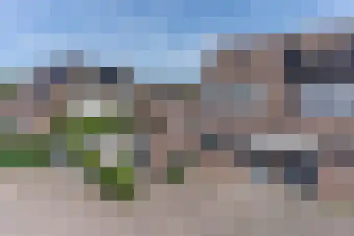 Zeggemeen 105 Harderwijk thumbnail 49