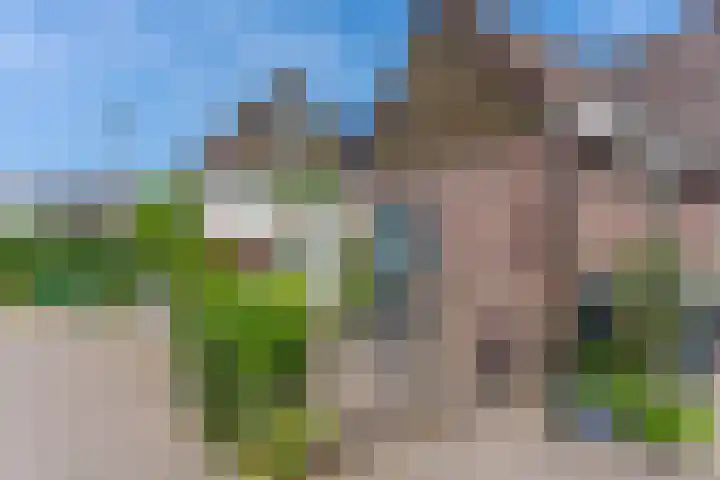 Zeggemeen 105 Harderwijk thumbnail 5