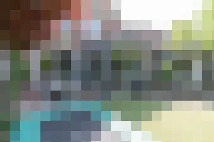 Zeggemeen 105 Harderwijk thumbnail 6