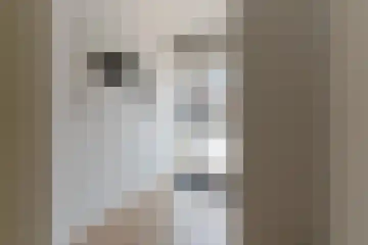 Zeggemeen 105 Harderwijk thumbnail 7