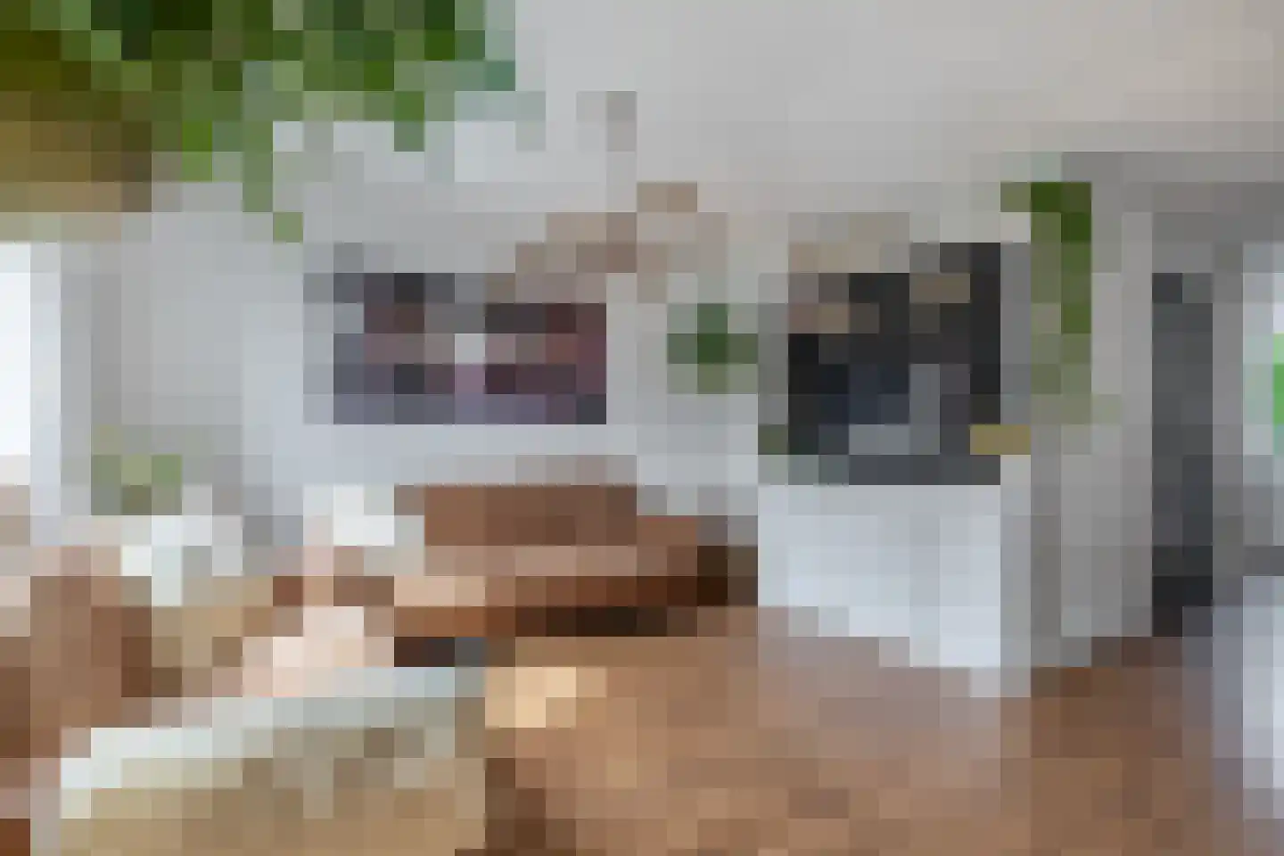 Zeggemeen 114 Harderwijk thumbnail 8