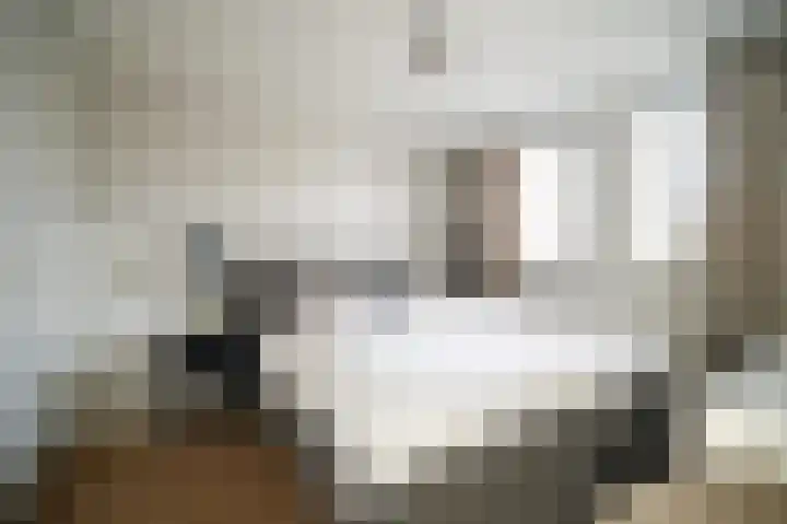 Zeggemeen 20 Harderwijk thumbnail 25