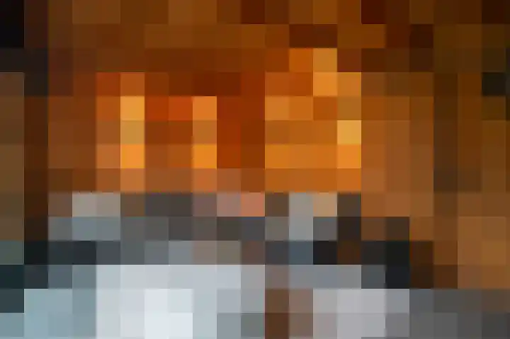 Zeggemeen 20 Harderwijk thumbnail 33