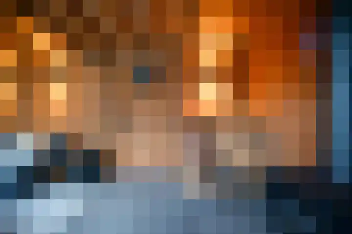 Zeggemeen 20 Harderwijk thumbnail 34