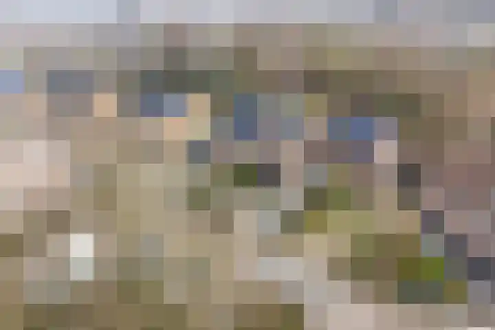 Zeggemeen 20 Harderwijk thumbnail 37