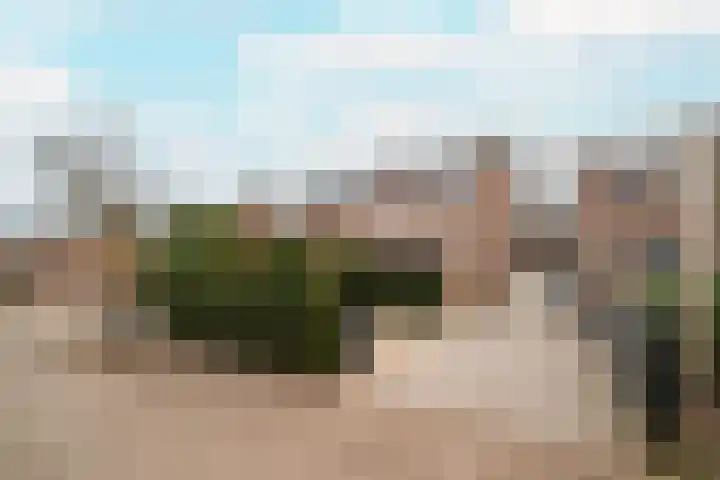 Zeggemeen 20 Harderwijk thumbnail 6