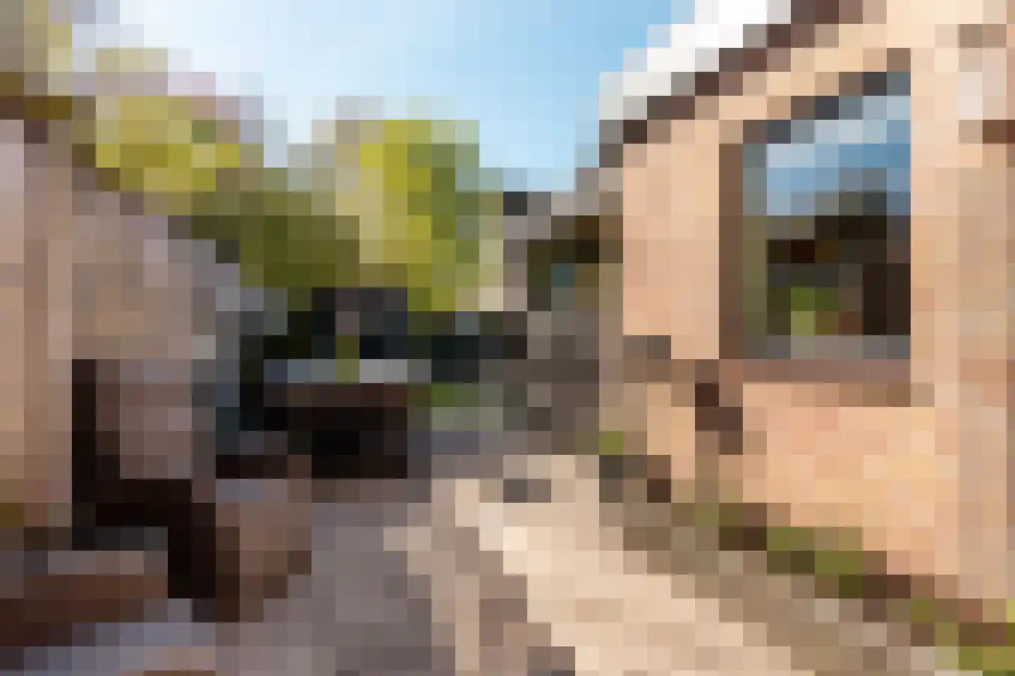 Zeggemeen 26 Harderwijk thumbnail 40