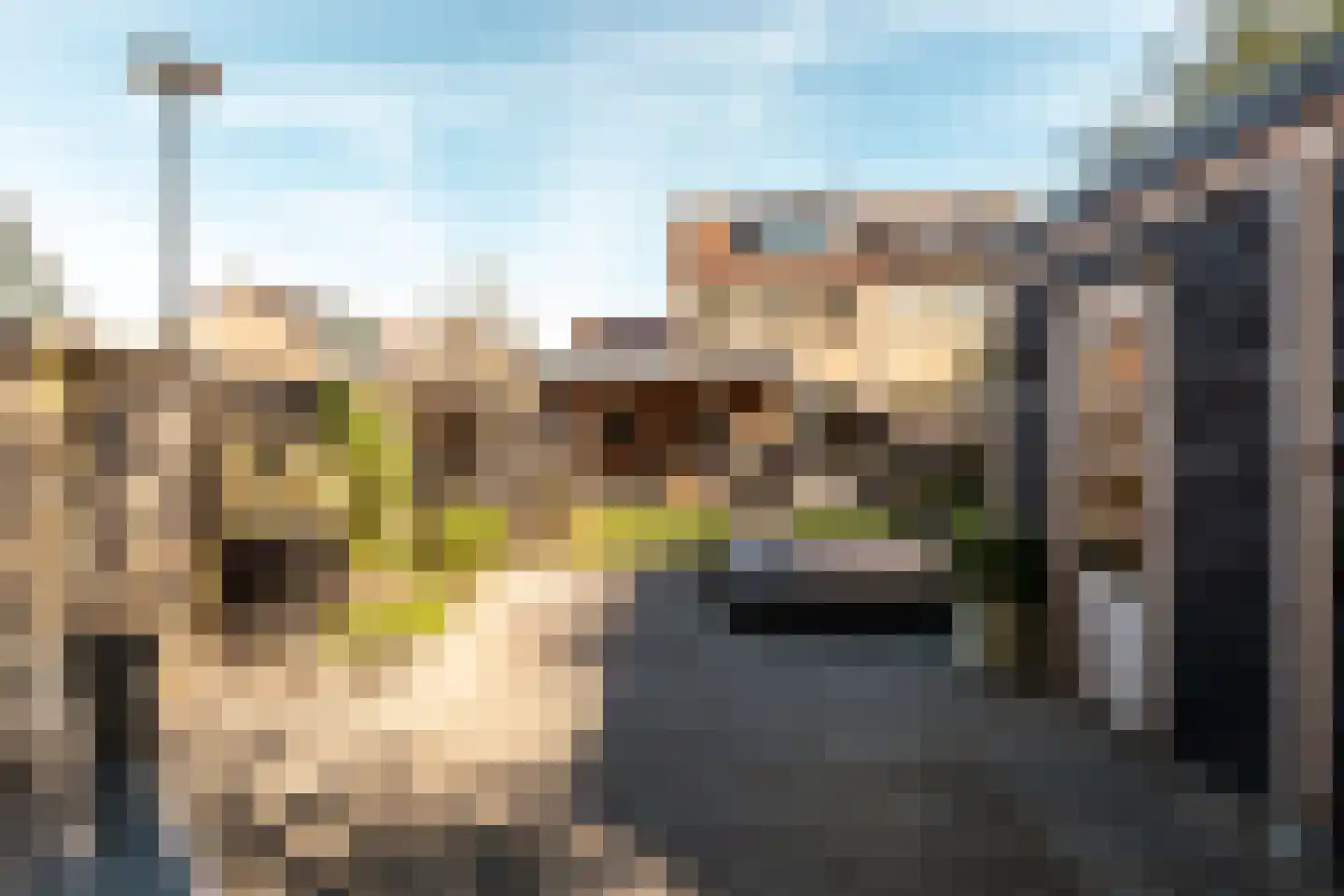 Zeggemeen 26 Harderwijk thumbnail 43