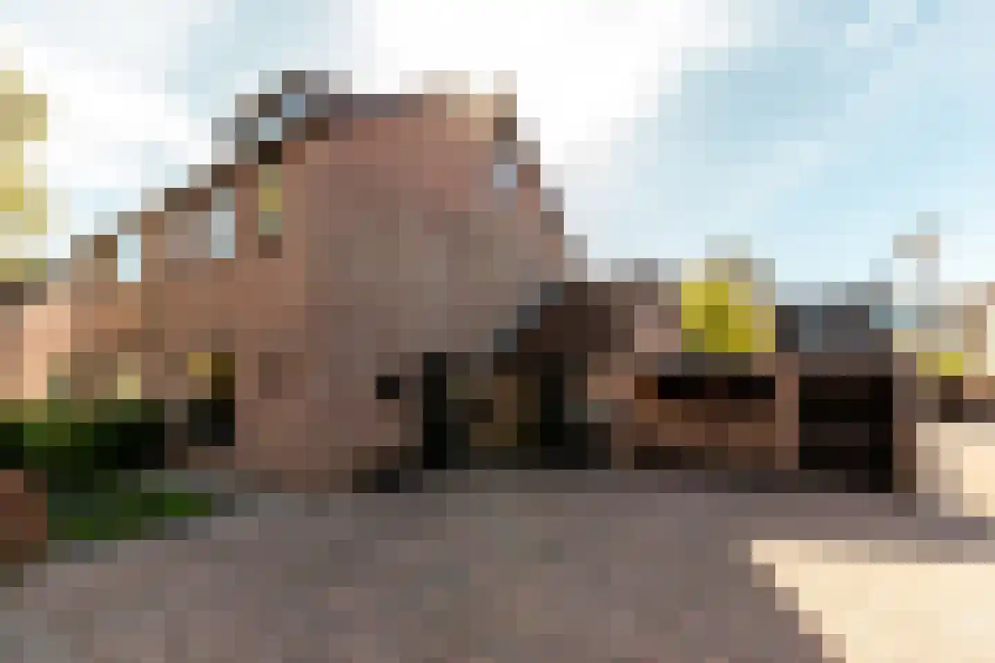 Zeggemeen 26 Harderwijk thumbnail 45