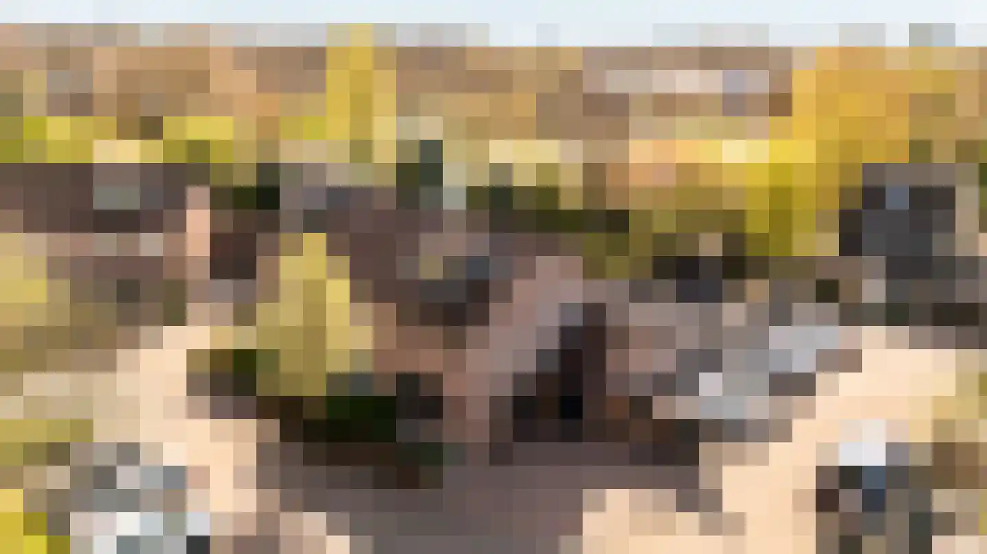Zeggemeen 26 Harderwijk thumbnail 51