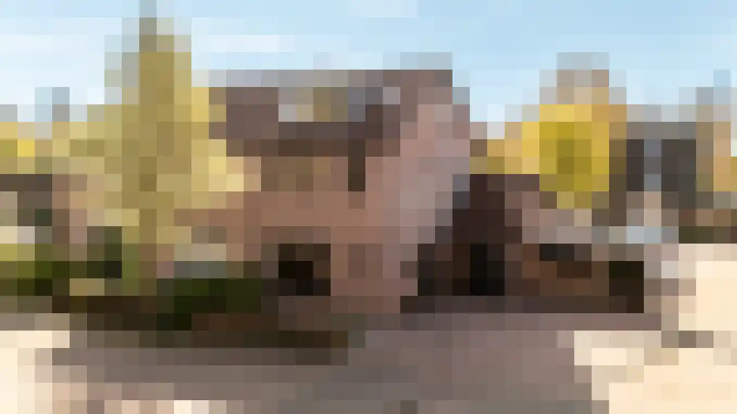 Zeggemeen 26 Harderwijk thumbnail 7