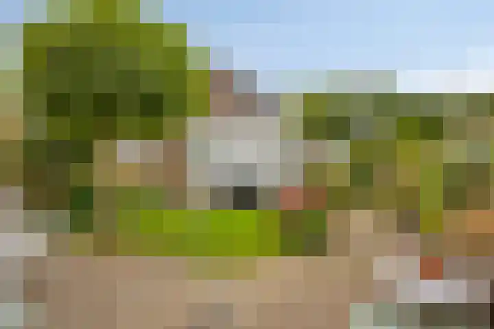Zeggemeen 49 Harderwijk thumbnail 31