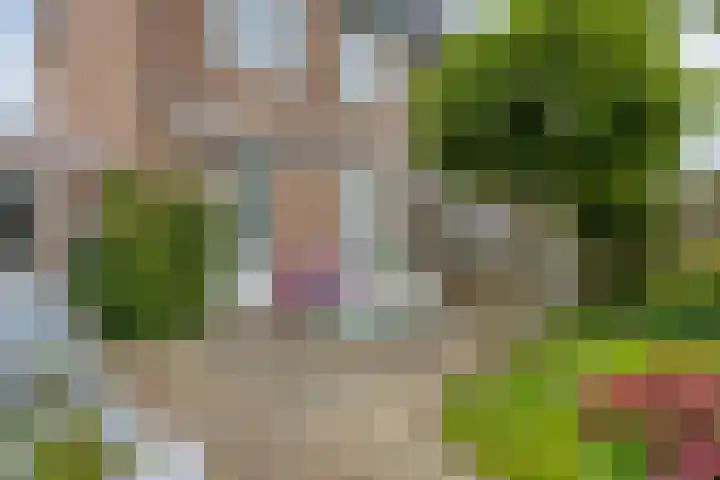 Zeggemeen 49 Harderwijk thumbnail 32