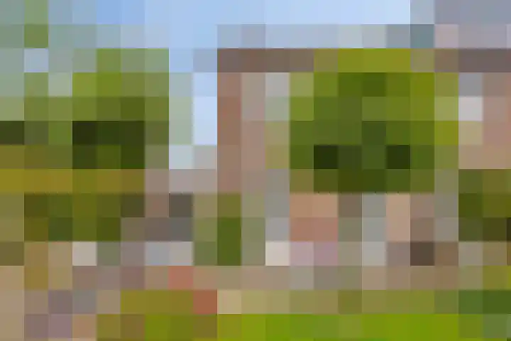 Zeggemeen 49 Harderwijk thumbnail 33