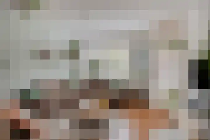 Zeggemeen 49 Harderwijk thumbnail 6