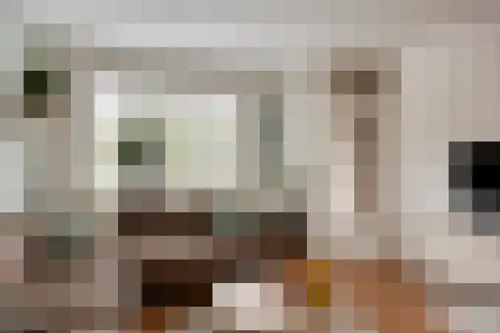 Zeggemeen 49 Harderwijk thumbnail 8