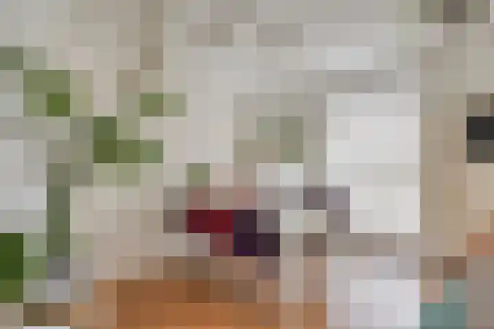 Zeggemeen 49 Harderwijk thumbnail 9