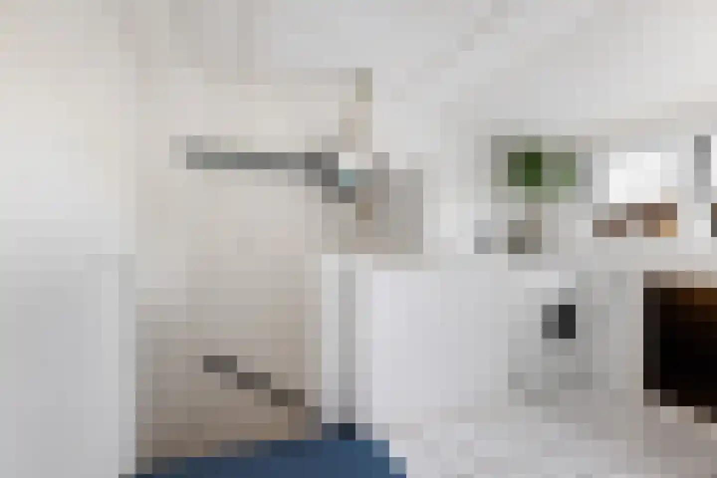 Zeggemeen 77 Harderwijk thumbnail 21