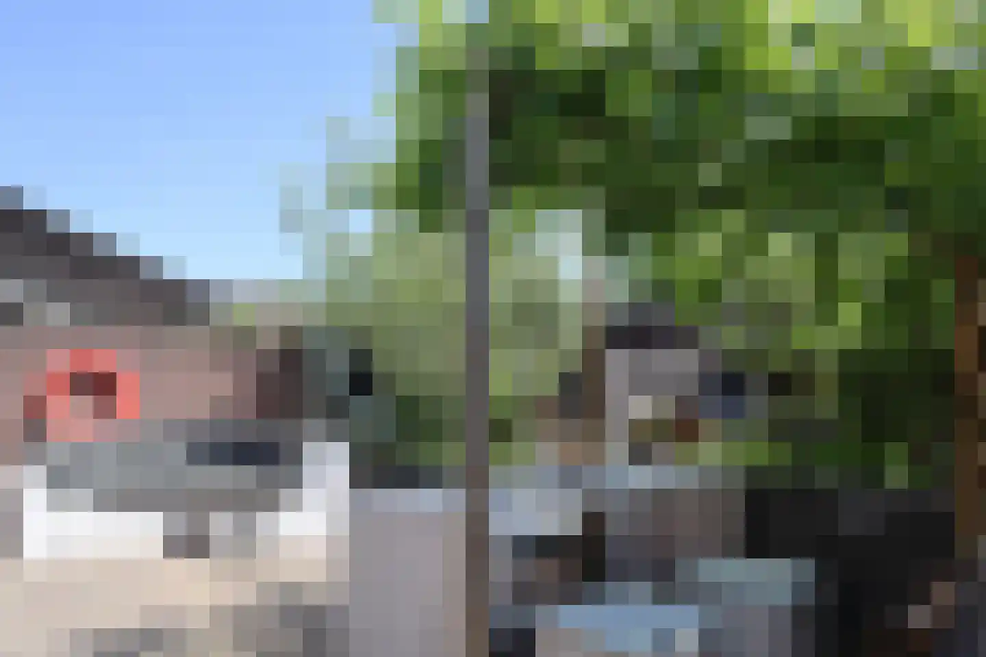Zeggemeen 77 Harderwijk thumbnail 27
