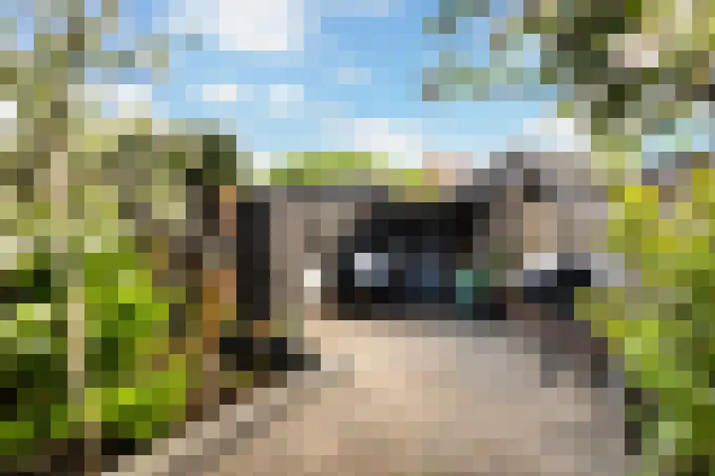 Zeggemeen 77 Harderwijk thumbnail 28