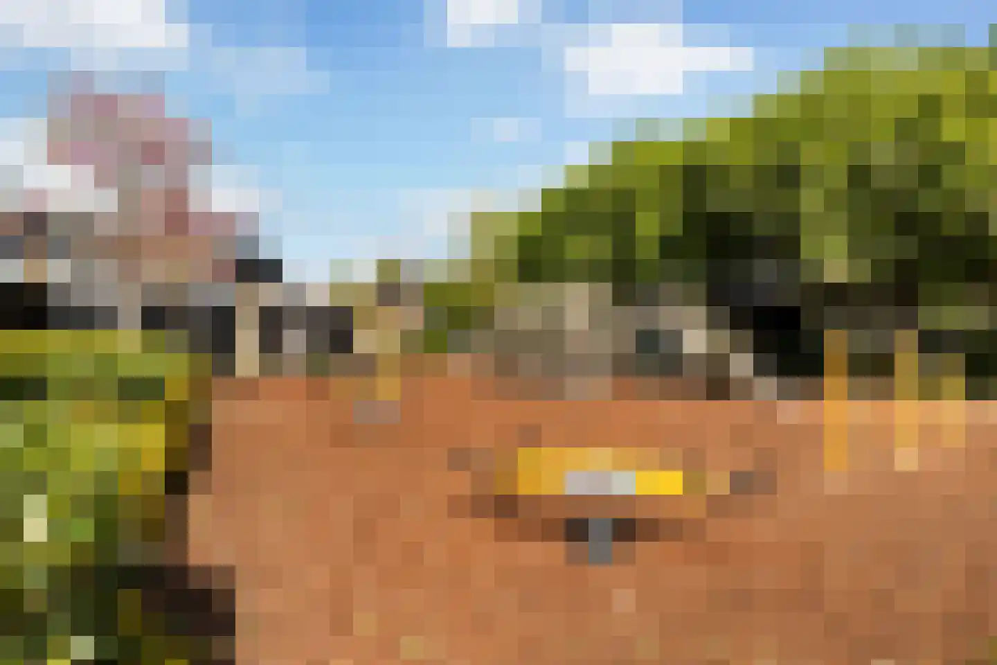 Zeggemeen 77 Harderwijk thumbnail 30