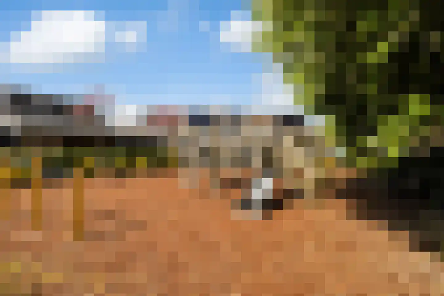Zeggemeen 77 Harderwijk thumbnail 31