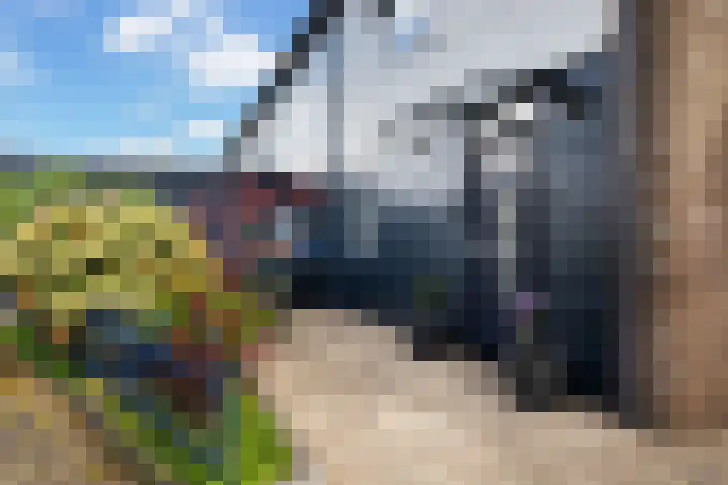Zeggemeen 77 Harderwijk thumbnail 32