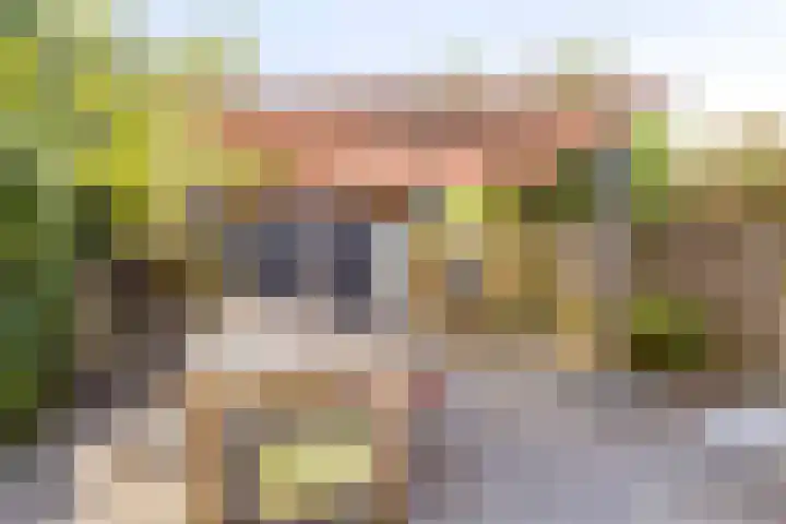 Zeggemeen 91 Harderwijk thumbnail 18