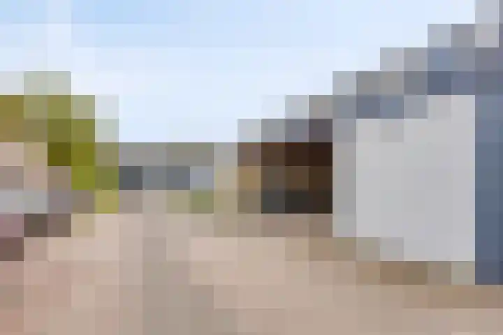 Zeggemeen 91 Harderwijk thumbnail 22