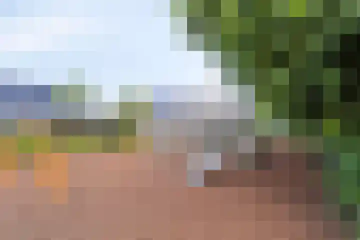 Zeggemeen 91 Harderwijk thumbnail 24
