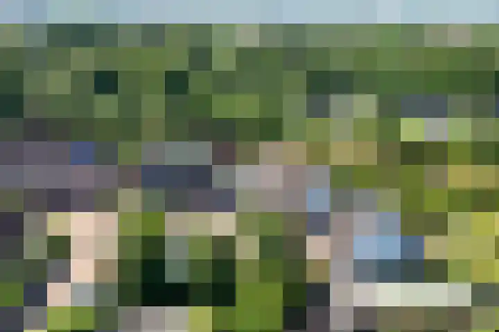 Zeggemeen 91 Harderwijk thumbnail 27