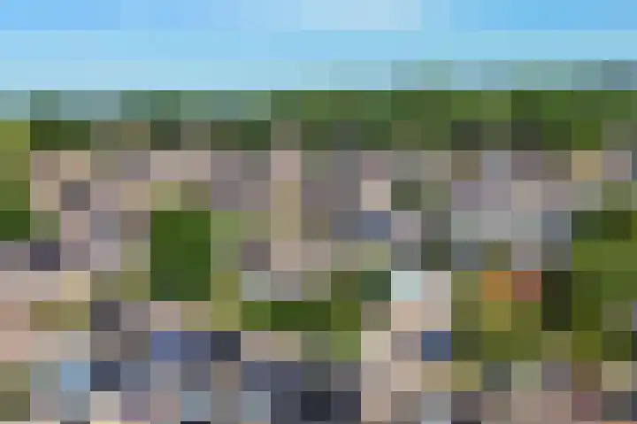 Zeggemeen 91 Harderwijk thumbnail 28